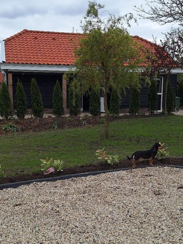 Gastenhuis Amstelmeerzicht. Westerland Екстер'єр фото
